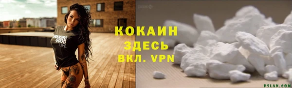 дживик Беломорск