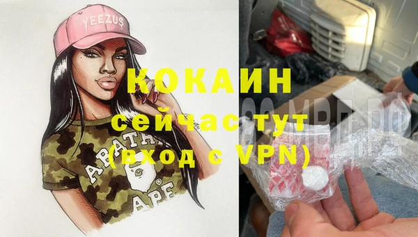 гашик Белокуриха