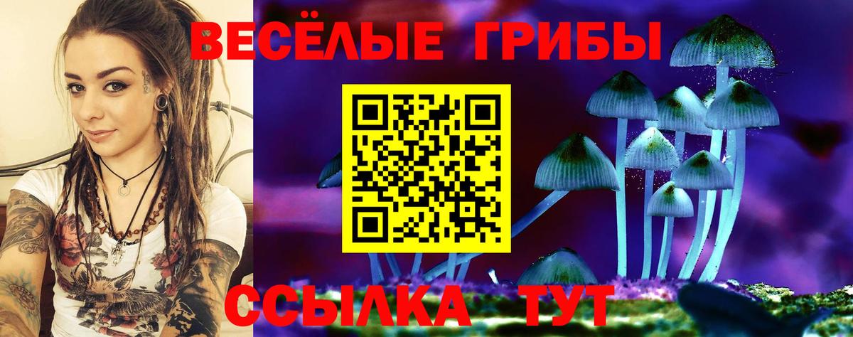 Галлюциногенные грибы мухоморы Луховицы